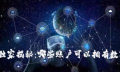 2023年专家独家揭秘：哪些账户可以拥有数字钱包