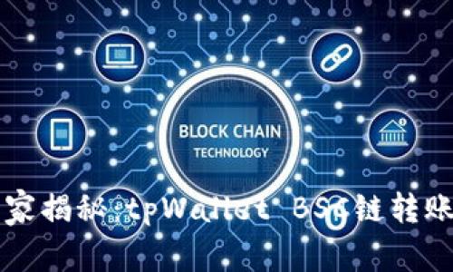 专家独家揭秘：tpWallet BSC链转账的秘诀