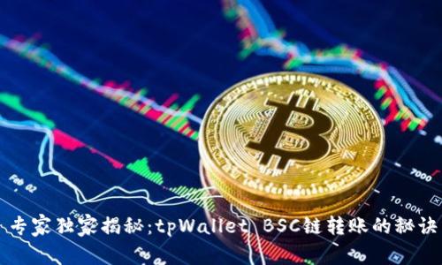 专家独家揭秘：tpWallet BSC链转账的秘诀
