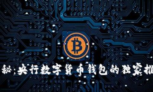 专家揭秘：央行数字货币钱包的独家推广秘诀