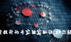 数字钱包支付额度提升的专家独家秘诀，助你轻