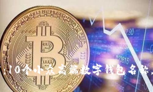 专家独家推荐：10个小众高端数字钱包名称，助你脱颖而出