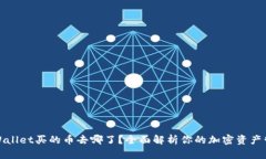 tpWallet买的币去哪了？全面解析你的加密资产管理