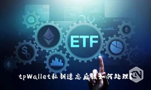 tpWallet私钥遗忘后该如何处理？