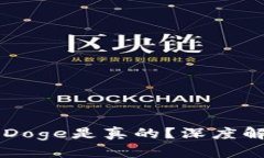 tpWallet哪个Doge是真的？深度解析与使用指南