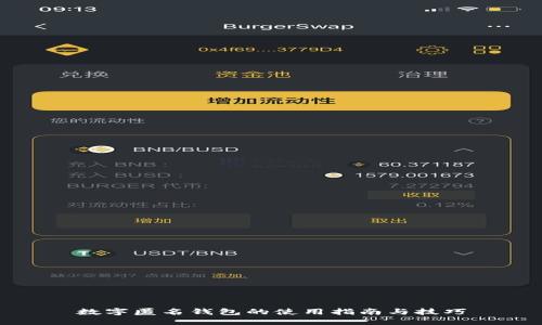 数字匿名钱包的使用指南与技巧