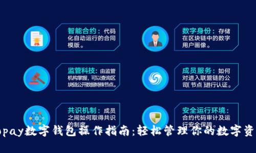 Topay数字钱包操作指南：轻松管理你的数字资产