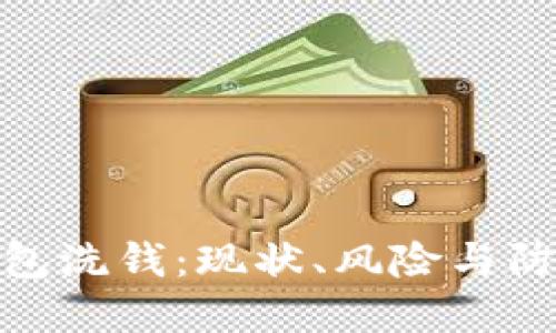 数字钱包洗钱：现状、风险与防范措施