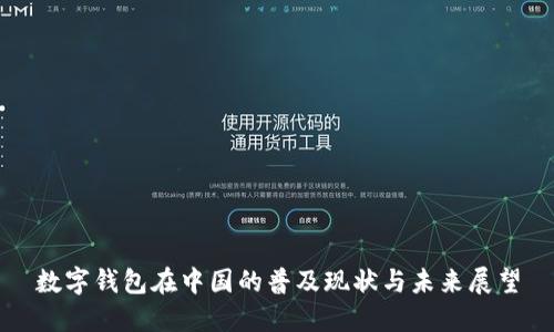 数字钱包在中国的普及现状与未来展望