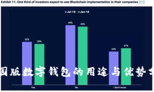 校园版数字钱包的用途与优势分析