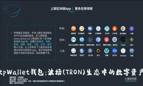 全面解析tpWallet钱包：波场(TRON)生态中的数字资产管理工具