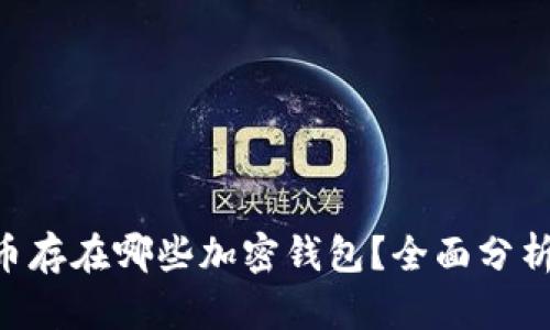 FDT代币存在哪些加密钱包？全面分析与推荐