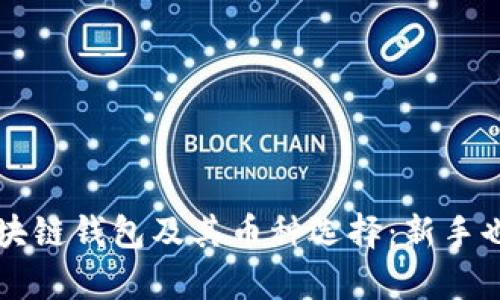 全面解析区块链钱包及其币种选择：新手也能轻松上手