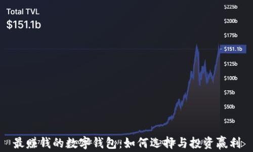 
最赚钱的数字钱包：如何选择与投资赢利