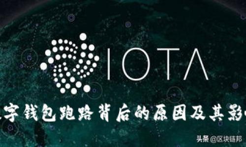 数字钱包跑路背后的原因及其影响