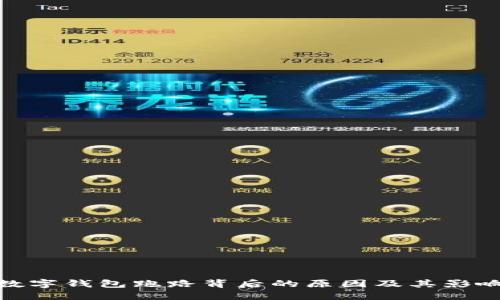 数字钱包跑路背后的原因及其影响