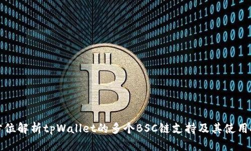 全方位解析tpWallet的多个BSC链支持及其使用技巧