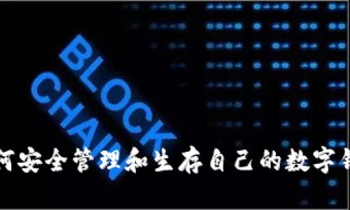 如何安全管理和生存自己的数字钱包