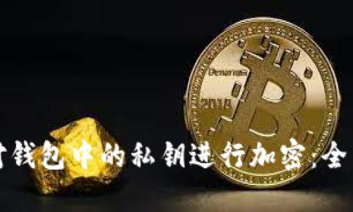 如何对钱包中的私钥进行加密：全面指南