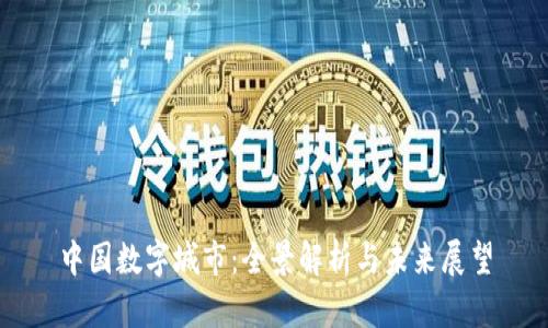 中国数字城市：全景解析与未来展望